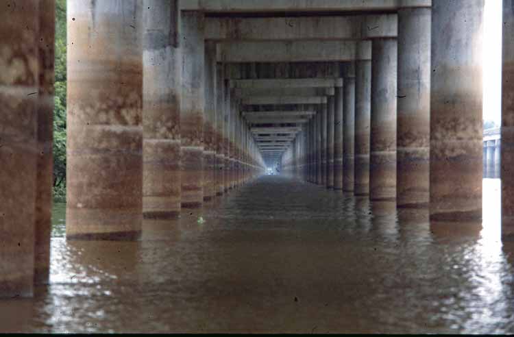 bridge pilings